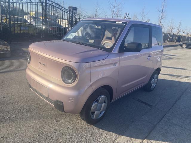 2024 Geely Panda Mini EV 200km Endurance Bear Custom 4-Seater New Energy Vehicle From China