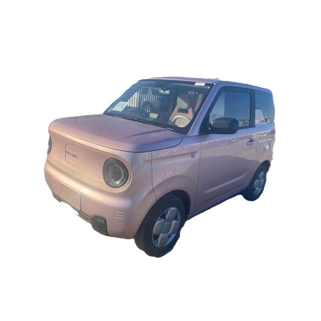 2024 Geely Panda Mini EV 200km Endurance Bear Custom 4-Seater New Energy Vehicle From China