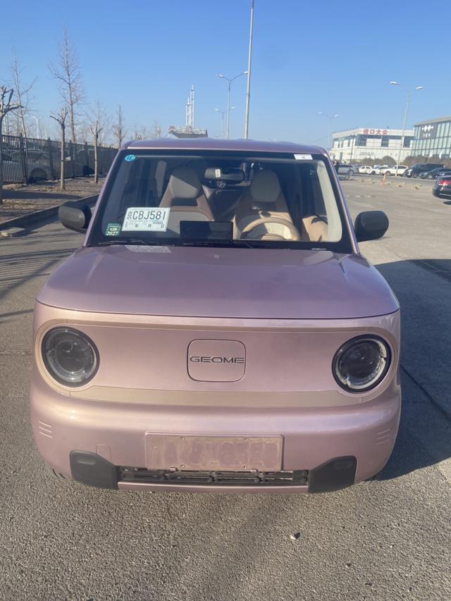 2024 Geely Panda Mini EV 200km Endurance Bear Custom 4-Seater New Energy Vehicle From China