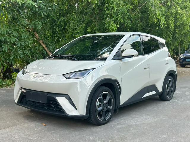 🚗 Used BYD Seagull | 405km Range | 0.5h Fast Charge | 8.98k RMB