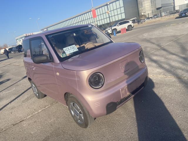 2024 Geely Panda Mini EV 200km Endurance Bear Custom 4-Seater New Energy Vehicle From China