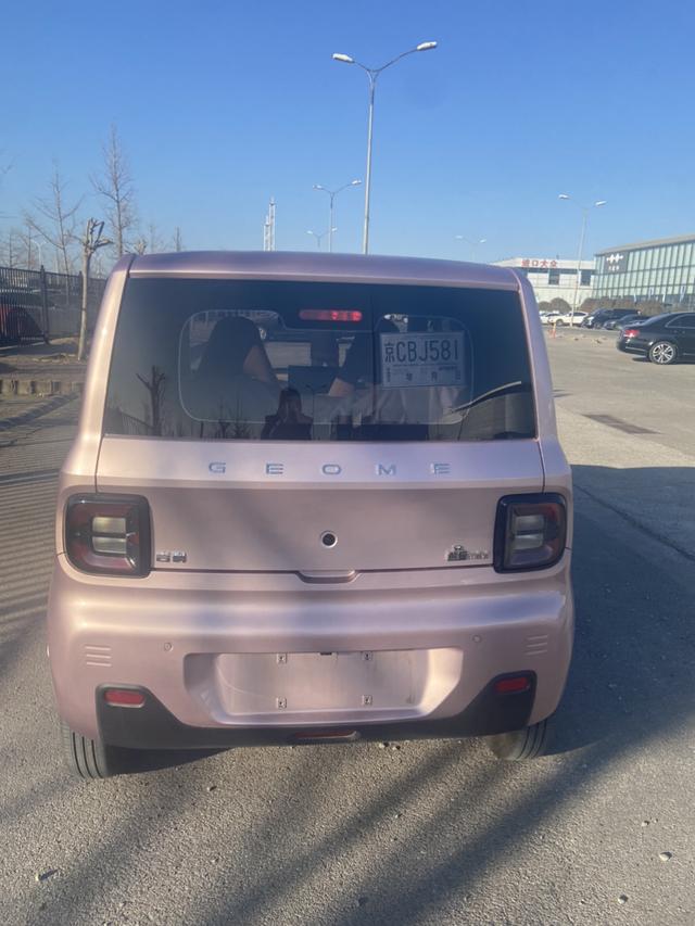 2024 Geely Panda Mini EV 200km Endurance Bear Custom 4-Seater New Energy Vehicle From China
