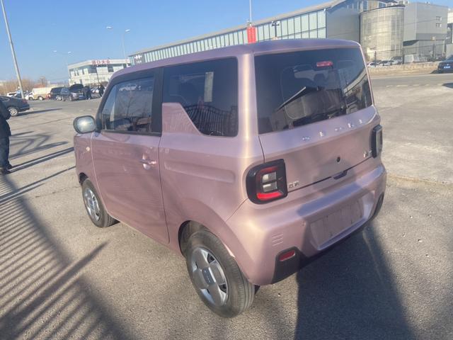 2024 Geely Panda Mini EV 200km Endurance Bear Custom 4-Seater New Energy Vehicle From China